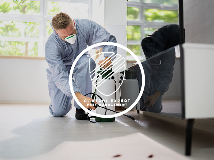 Control Expert Pest Management