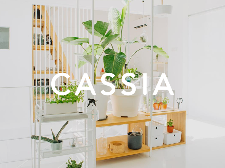 Shop Cassia Studio on Atome