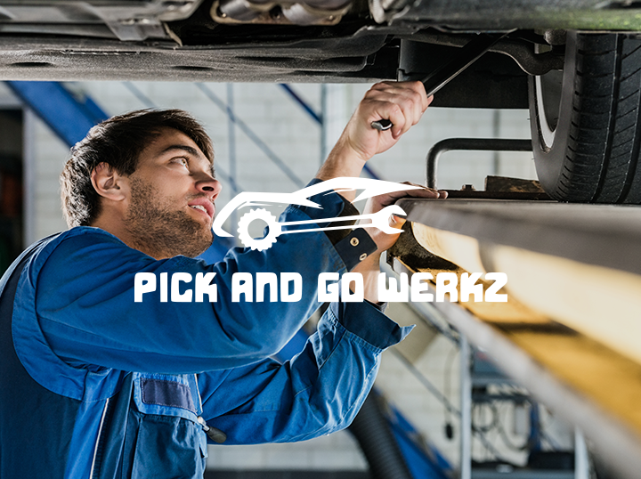 Shop Pick and Go Werkz on Atome