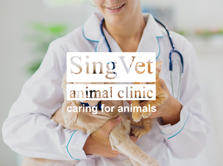 Shop SingVet Animal Clinic on Atome