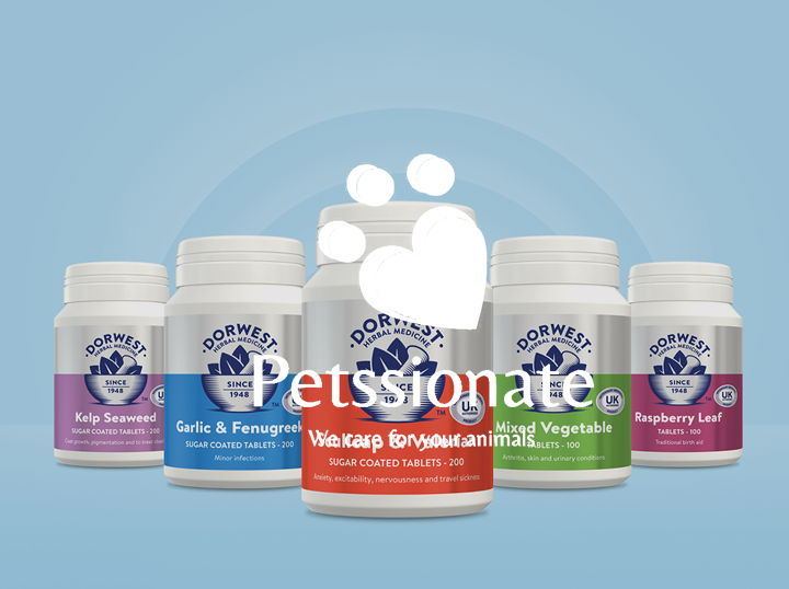 Petssionate