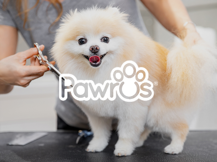Shop Pawrus on Atome