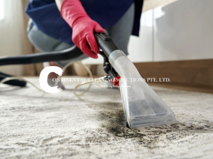 Continental Cleaning Solutions