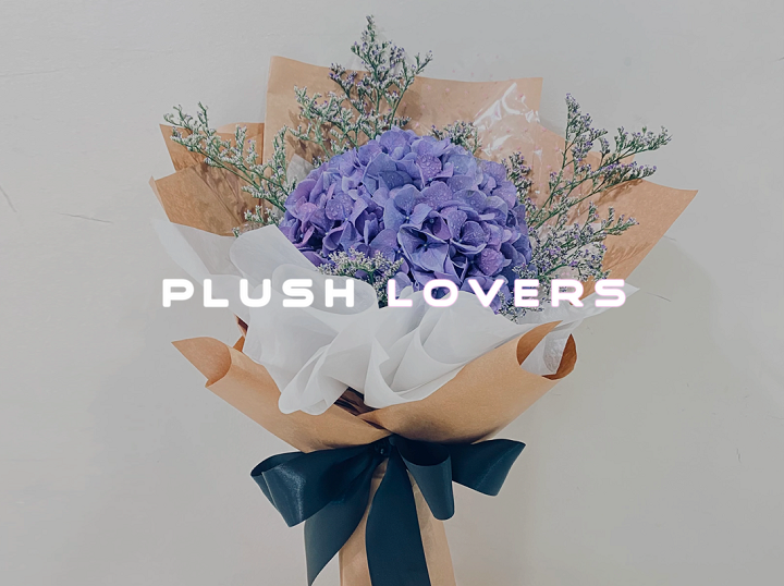 Plush Lovers