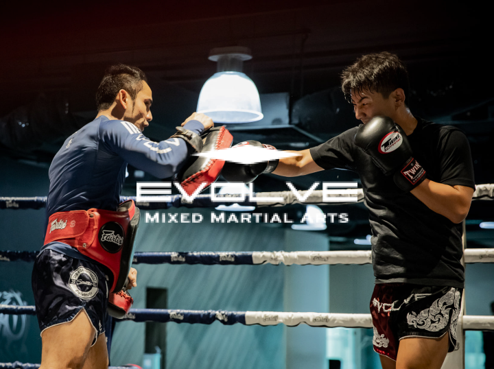 Shop Evolve MMA on Atome