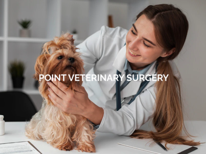 Shop Point Veterinary Surgery on Atome