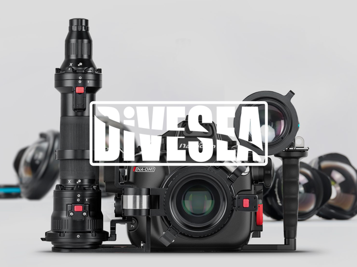Shop Divesea on Atome
