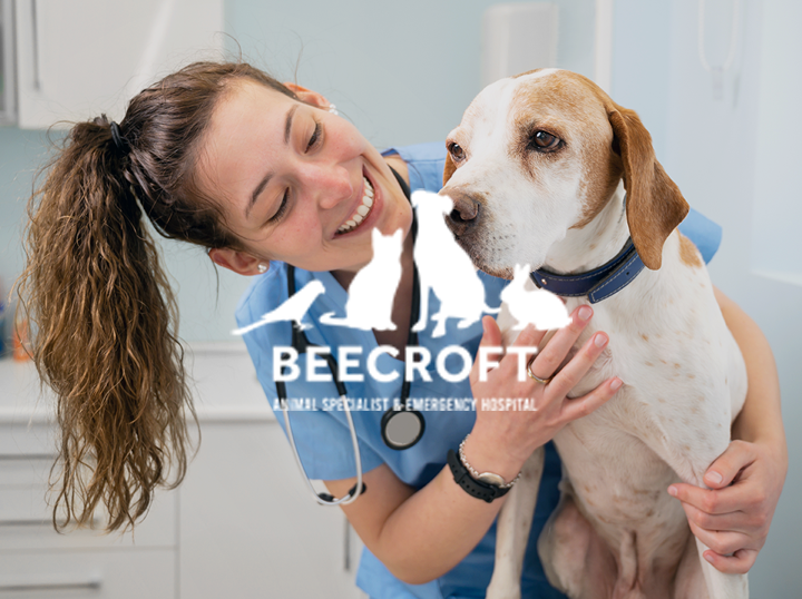 Shop Beecroft Animal Specialist and Emergency Hospital on Atome