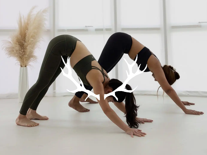 Shop Fawn Active on Atome