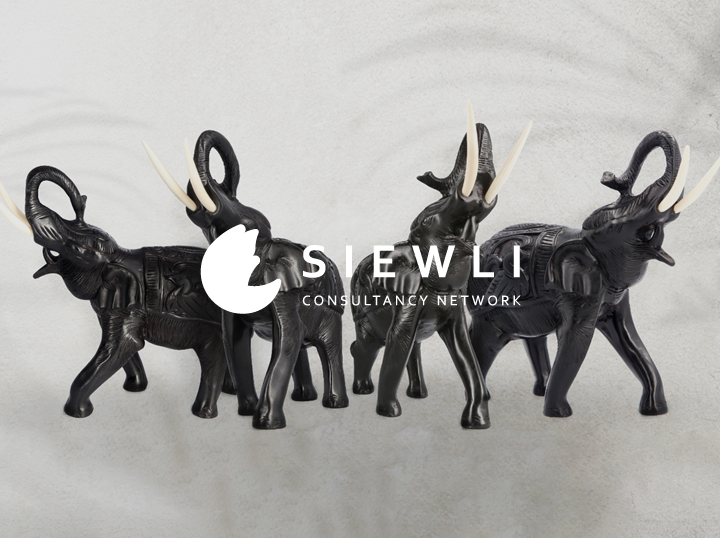 SiewLi Consultancy Network 