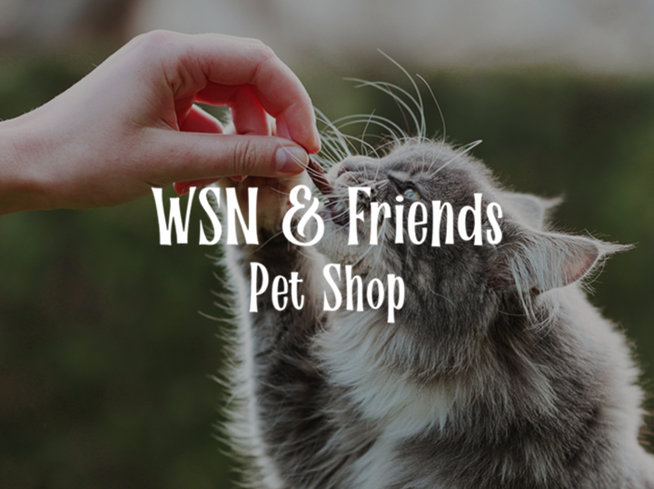 Shop WSN & Friends on Atome