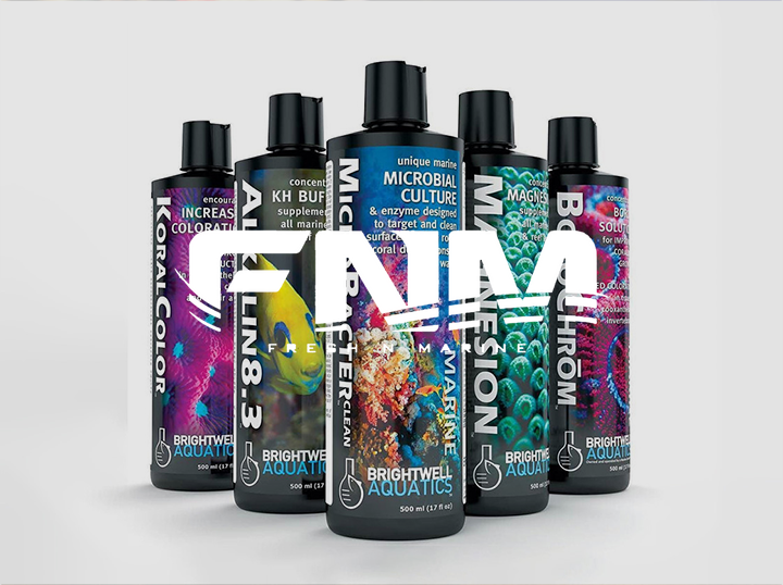 Shop Fresh N Marine on Atome