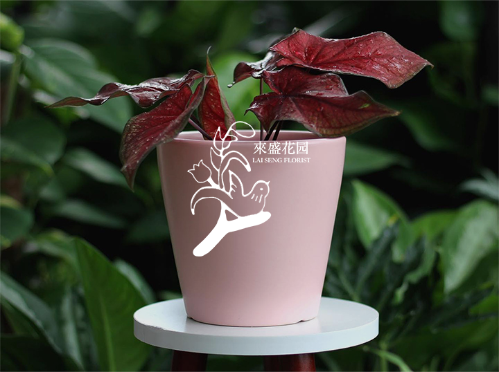 Shop Lai Seng Florist on Atome