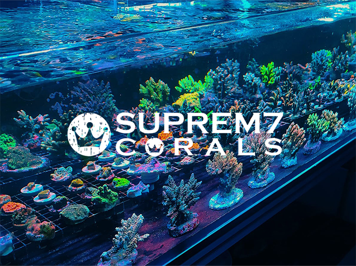 Suprem7 Corals