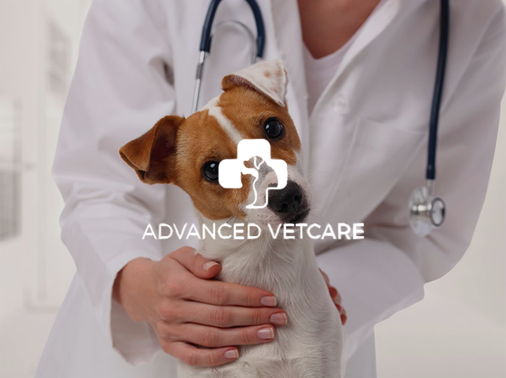 Shop Advanced Vetcare on Atome