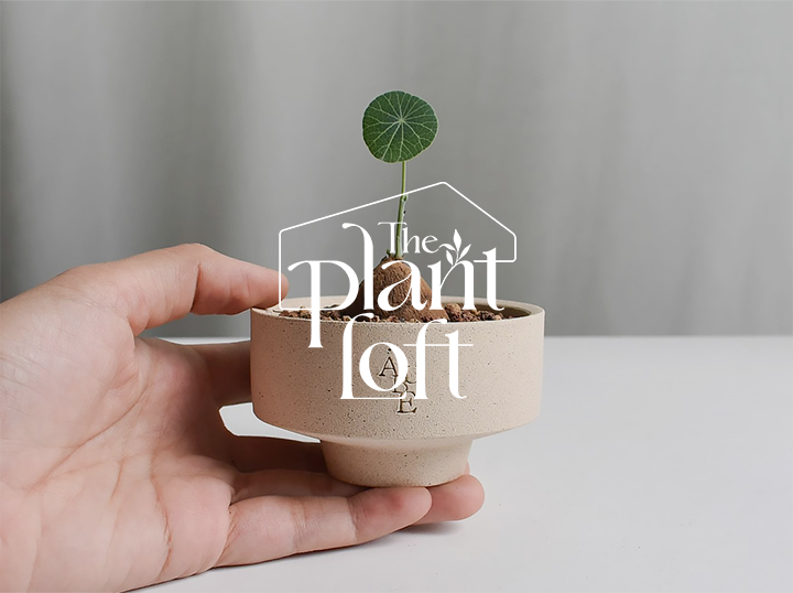 Shop The Plant Loft on Atome