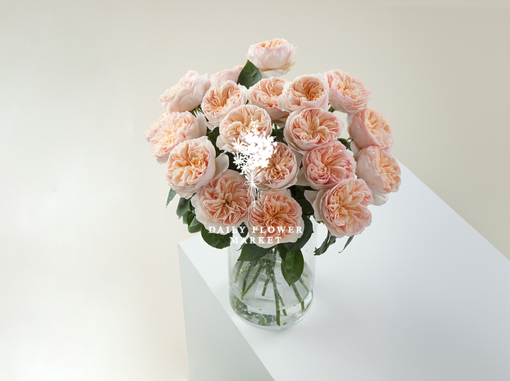 Shop Daily Flower Market on Atome