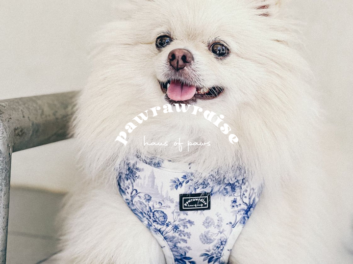 Shop Pawrawrdise on Atome