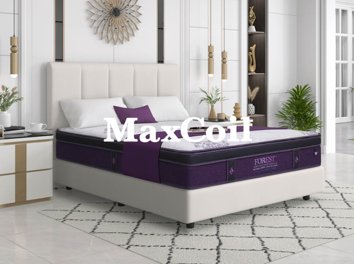 Shop Maxcoil on Atome