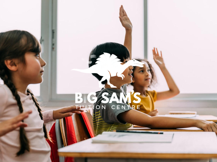 Shop Big Sam Tuition Centre on Atome
