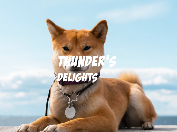 Shop Thunders Delights on Atome