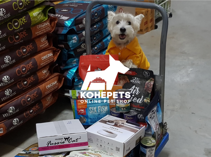 Shop Kohepets on Atome