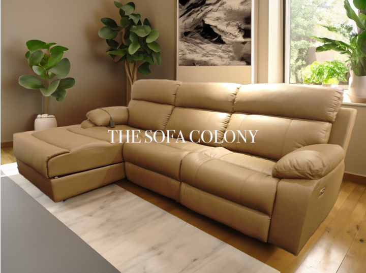 The Sofa Colony