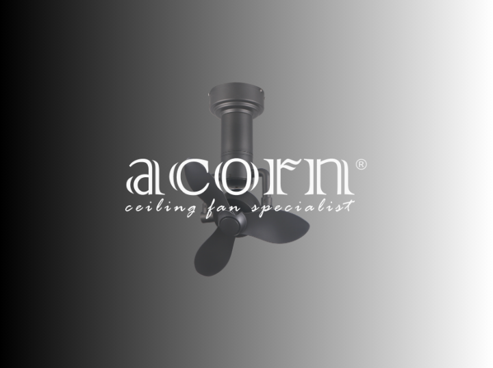 Acorn