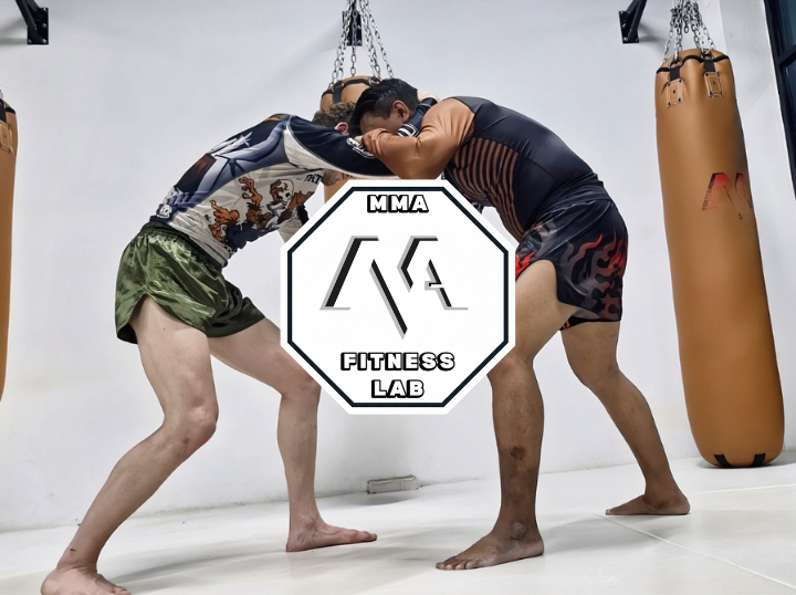 Mma Fitness Lab